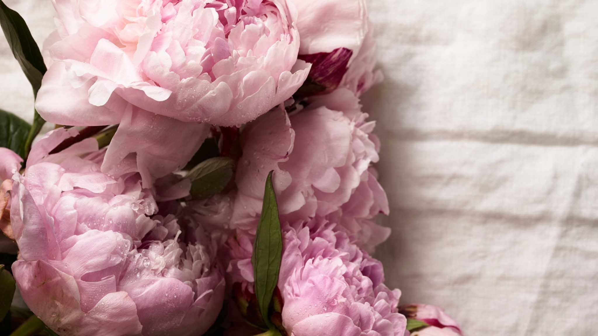 Room with a view in Venice